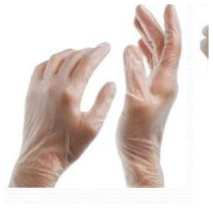 Vinyl Gloves